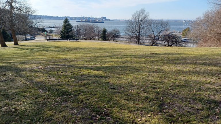 Upper New York Bay as seen from Owls Head Park in Bay Ridge, Brooklyn