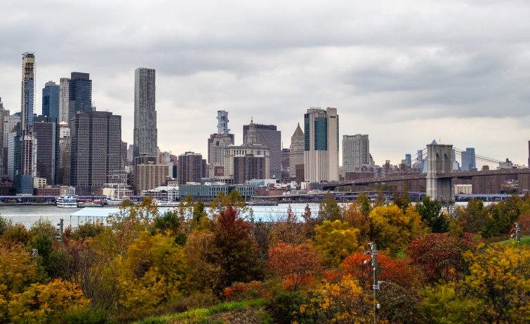 The Financial District skyline seen across the East River from Brooklyn Bridge Park, November 2025